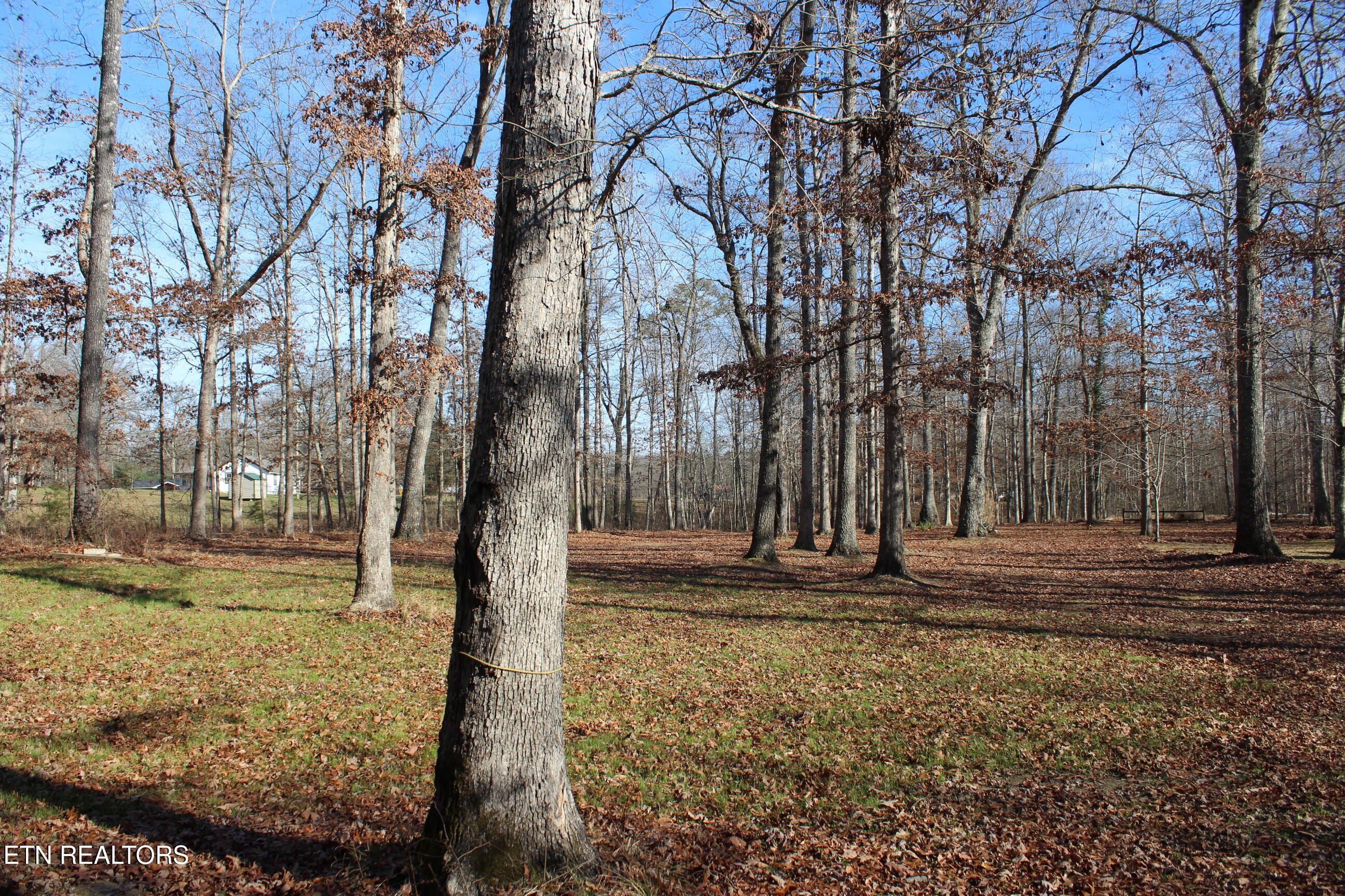 2510 Tinchtown Road Jamestown, TN 38556 - Photo 53 of 60 IMG_6271