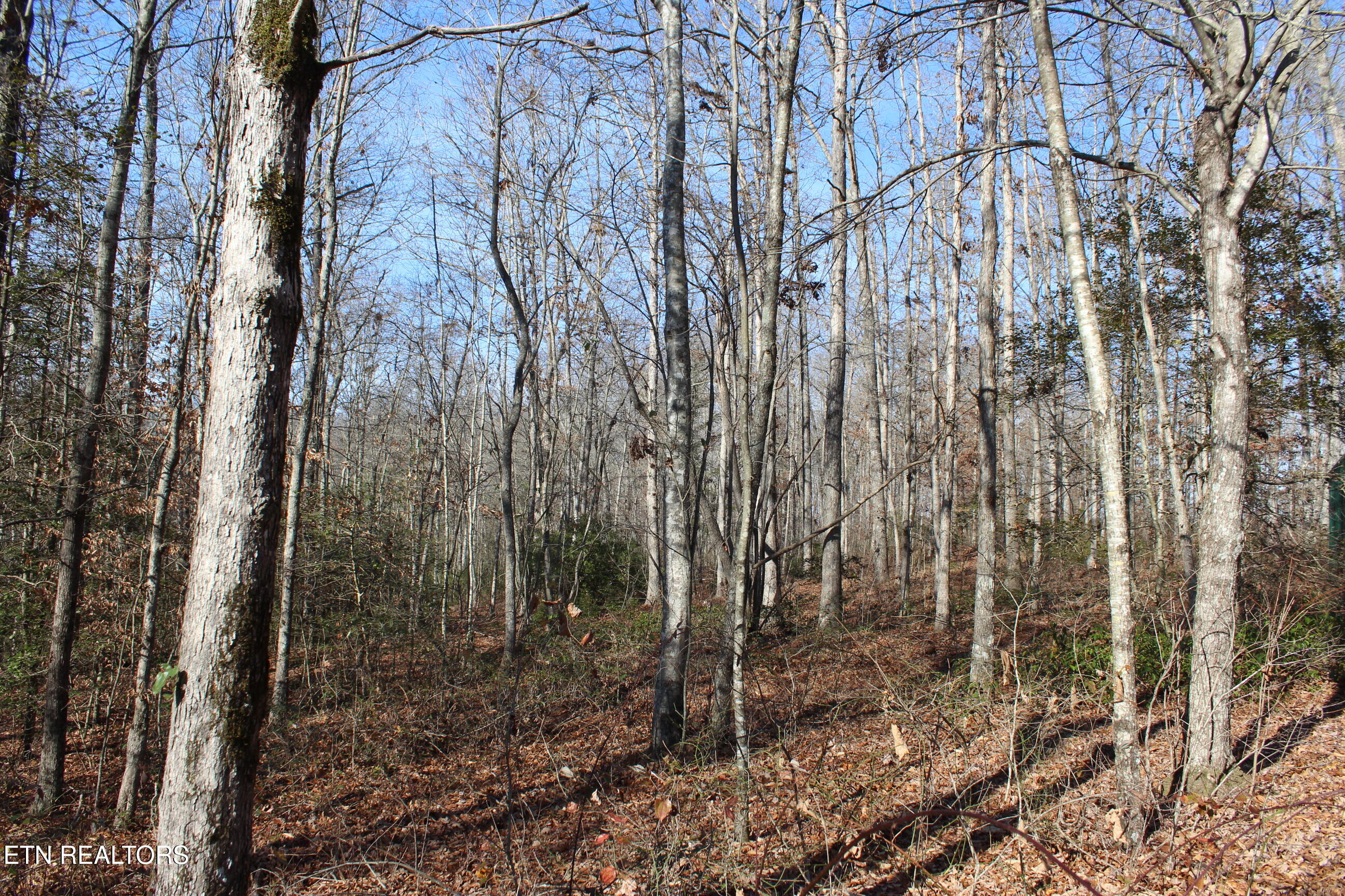 2510 Tinchtown Road Jamestown, TN 38556 - Photo 56 of 60 IMG_6274