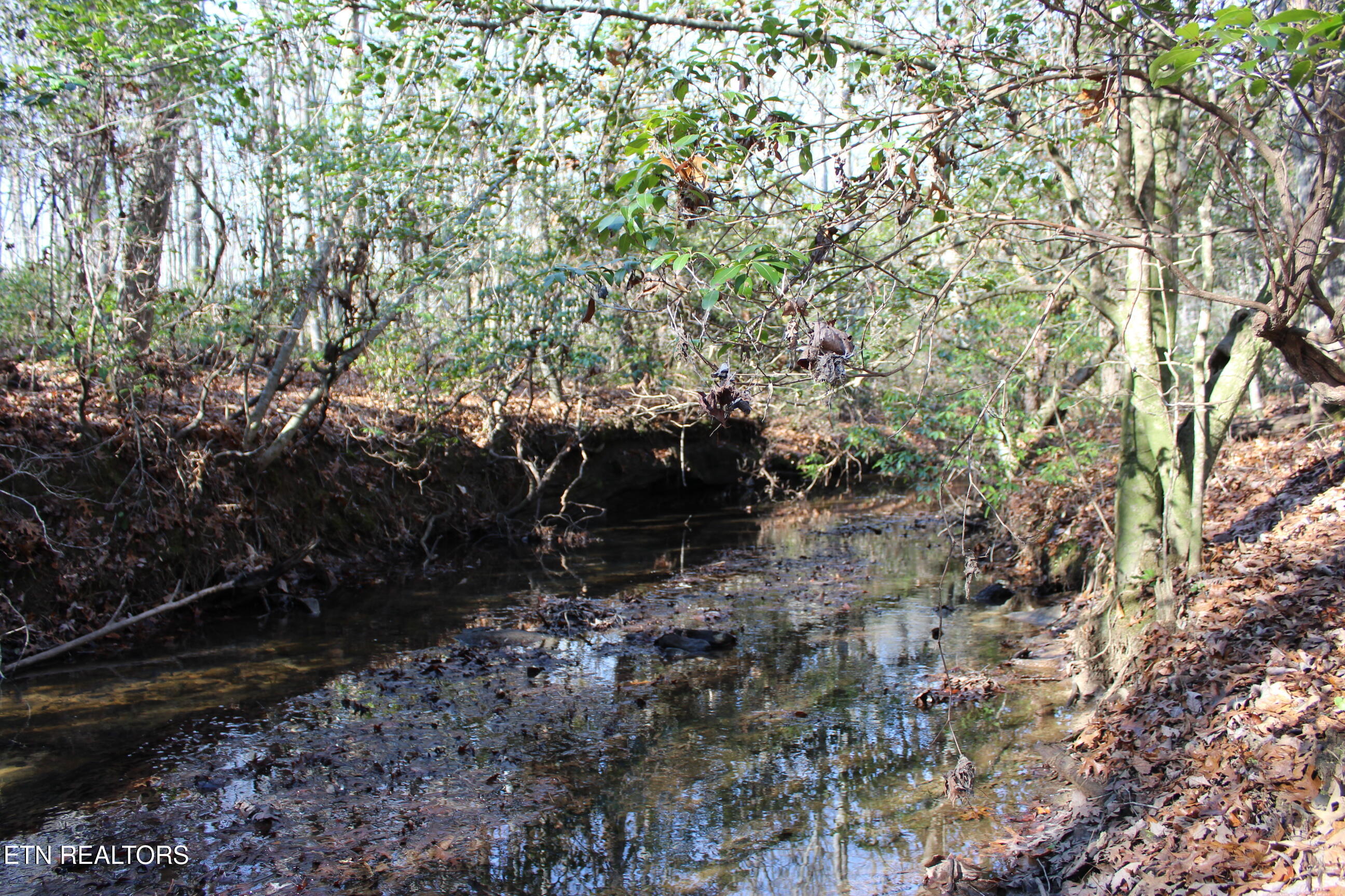 2510 Tinchtown Road Jamestown, TN 38556 - Photo 59 of 60 IMG_6277