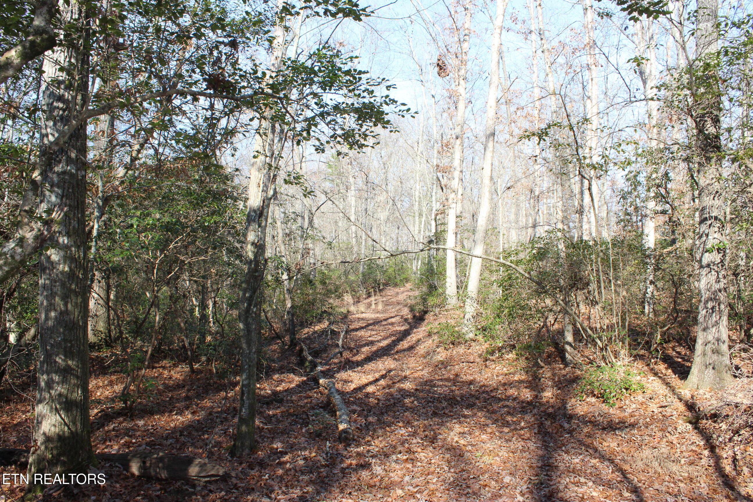 2510 Tinchtown Road Jamestown, TN 38556 - Photo 60 of 60 IMG_6278