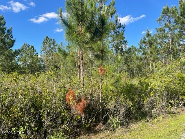 0 Penelope Lane Macclenny, FL 32063 - Photo 2 of 2 a view of a yard