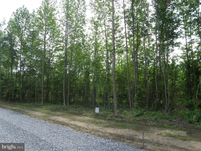 $107,100 | Lot A Lot A Shortly Road, Georgetown, DE 19947