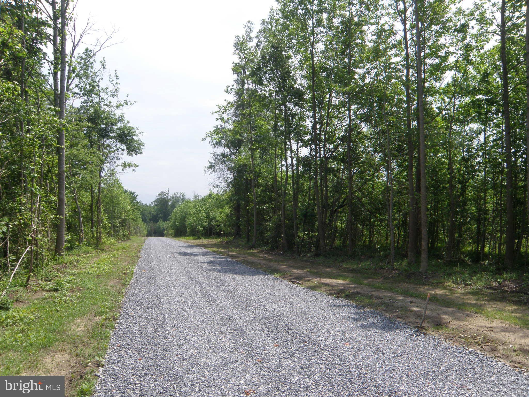 Lot A Lot A Shortly Road Georgetown, DE 19947 - Photo 4 of 6 Lot A look toward cul-de-sac