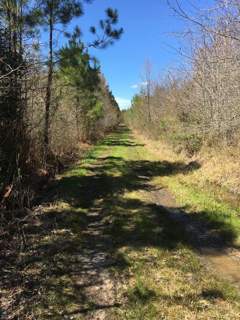 Tbd Tbd Medical Center Road Gates, NC 27937 - Photo 3 of 9