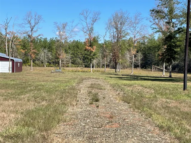 a view of yard with green space