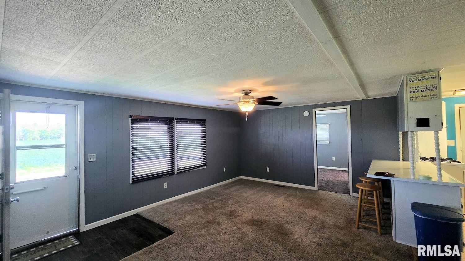 202 Evans Street Loami, IL 62661 - Photo 2 of 17