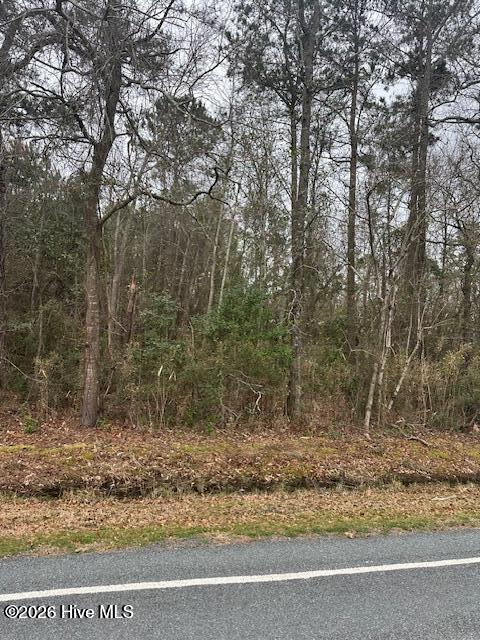 7557 Princess Ann Road Evergreen, NC 28438 - Photo 1 of 4