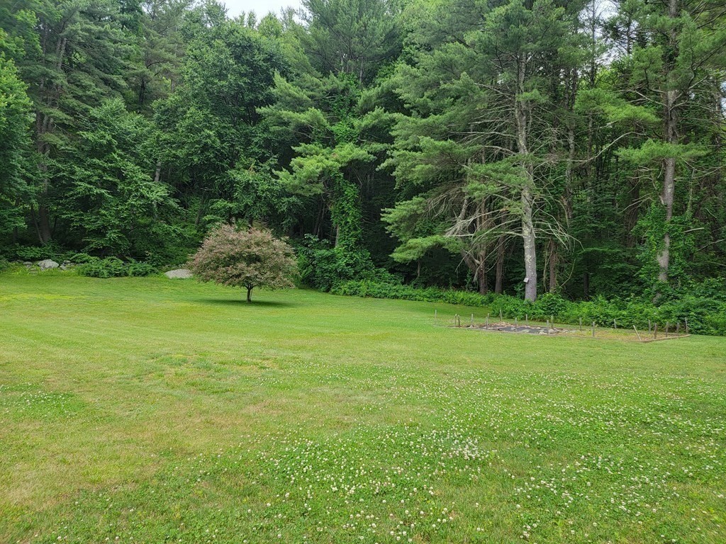 282 Old Gilbertville Road Ware, MA 01082 - Photo 29 of 31 a view of a field with plants and trees