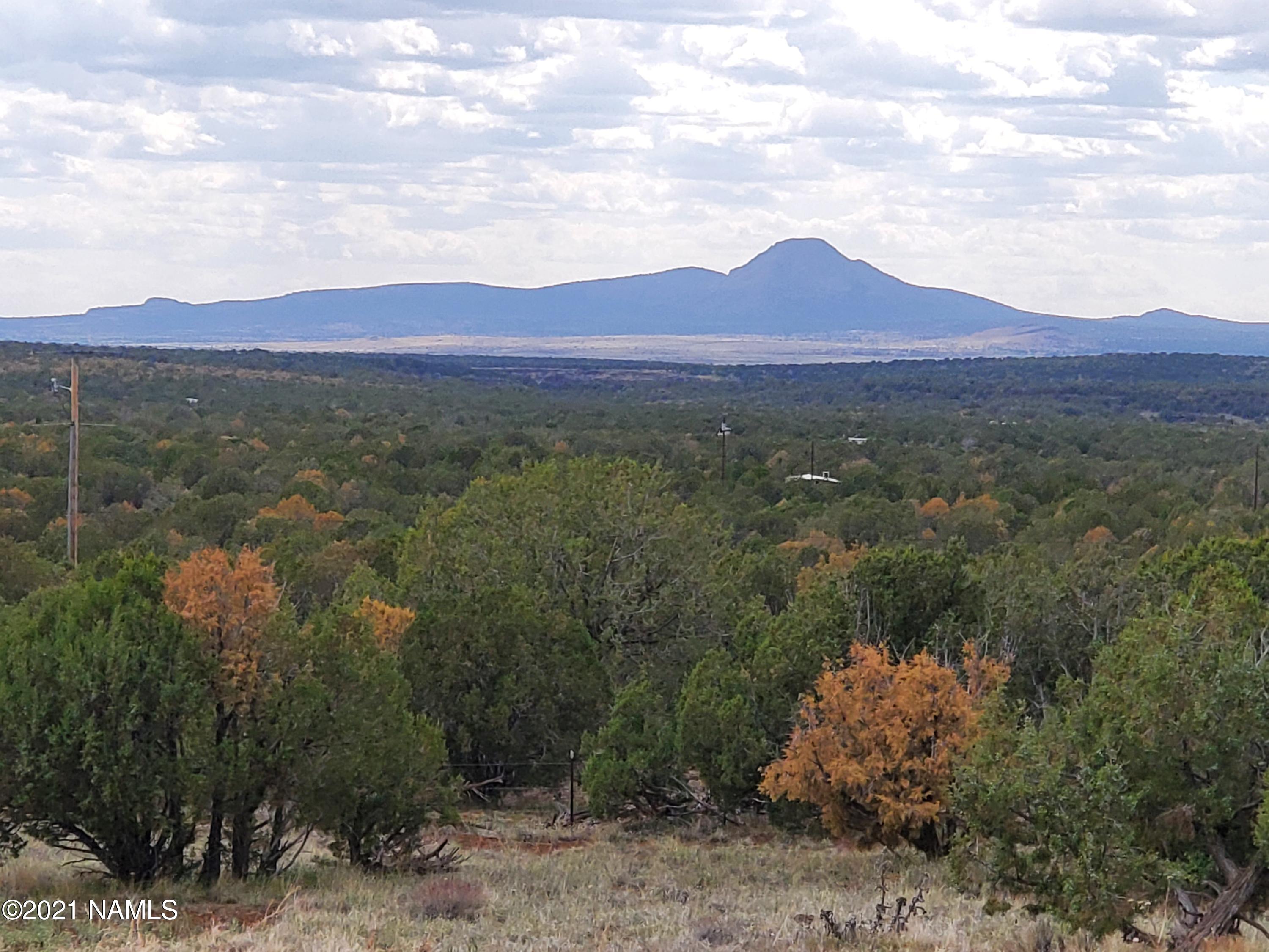 1769 Rincon Drive Williams, AZ 86046 - Photo 13 of 28 20210517_151133