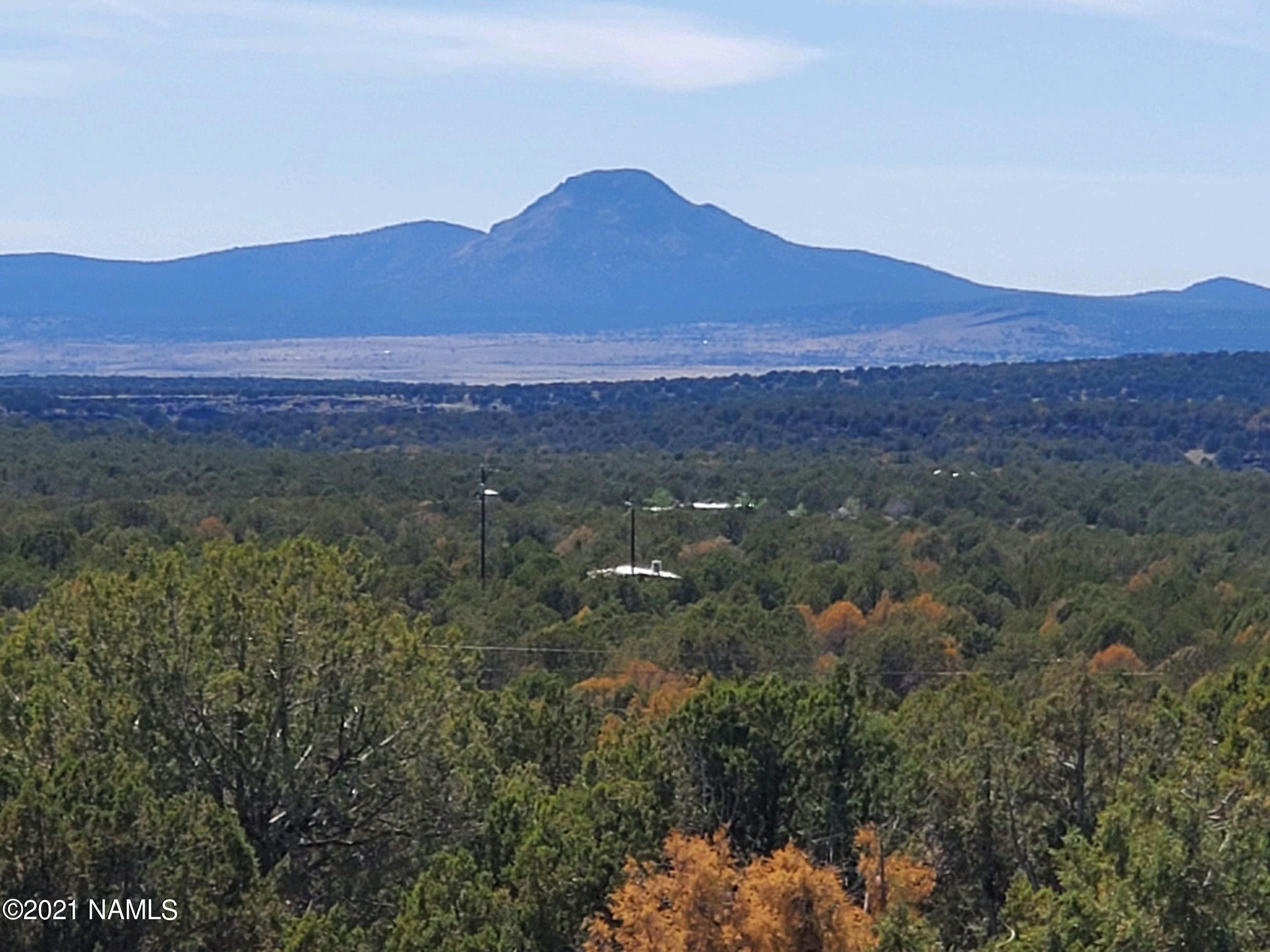 1769 Rincon Drive Williams, AZ 86046 - Photo 6 of 28 20210430_150055