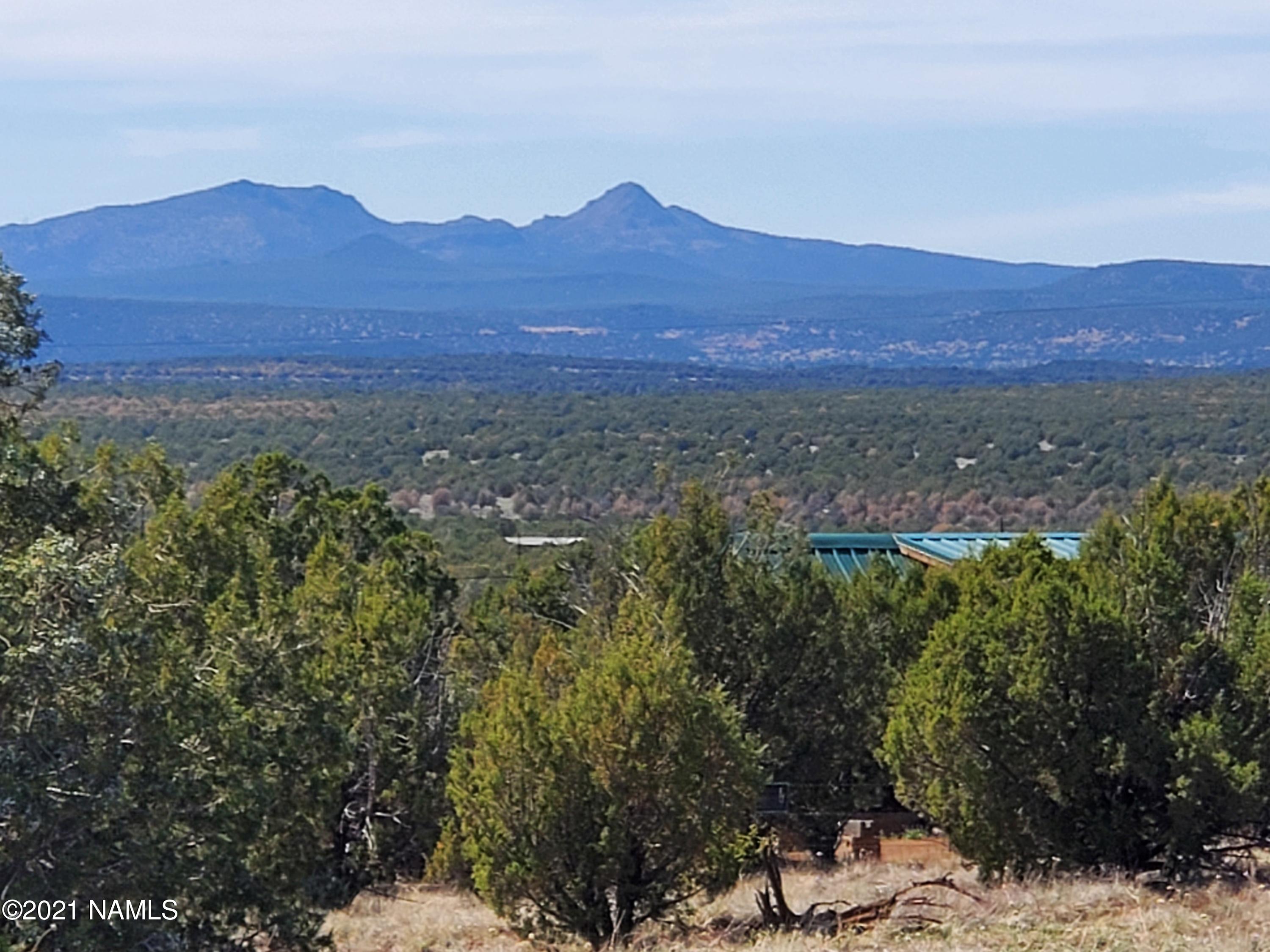 1769 Rincon Drive Williams, AZ 86046 - Photo 8 of 28 20210430_150102