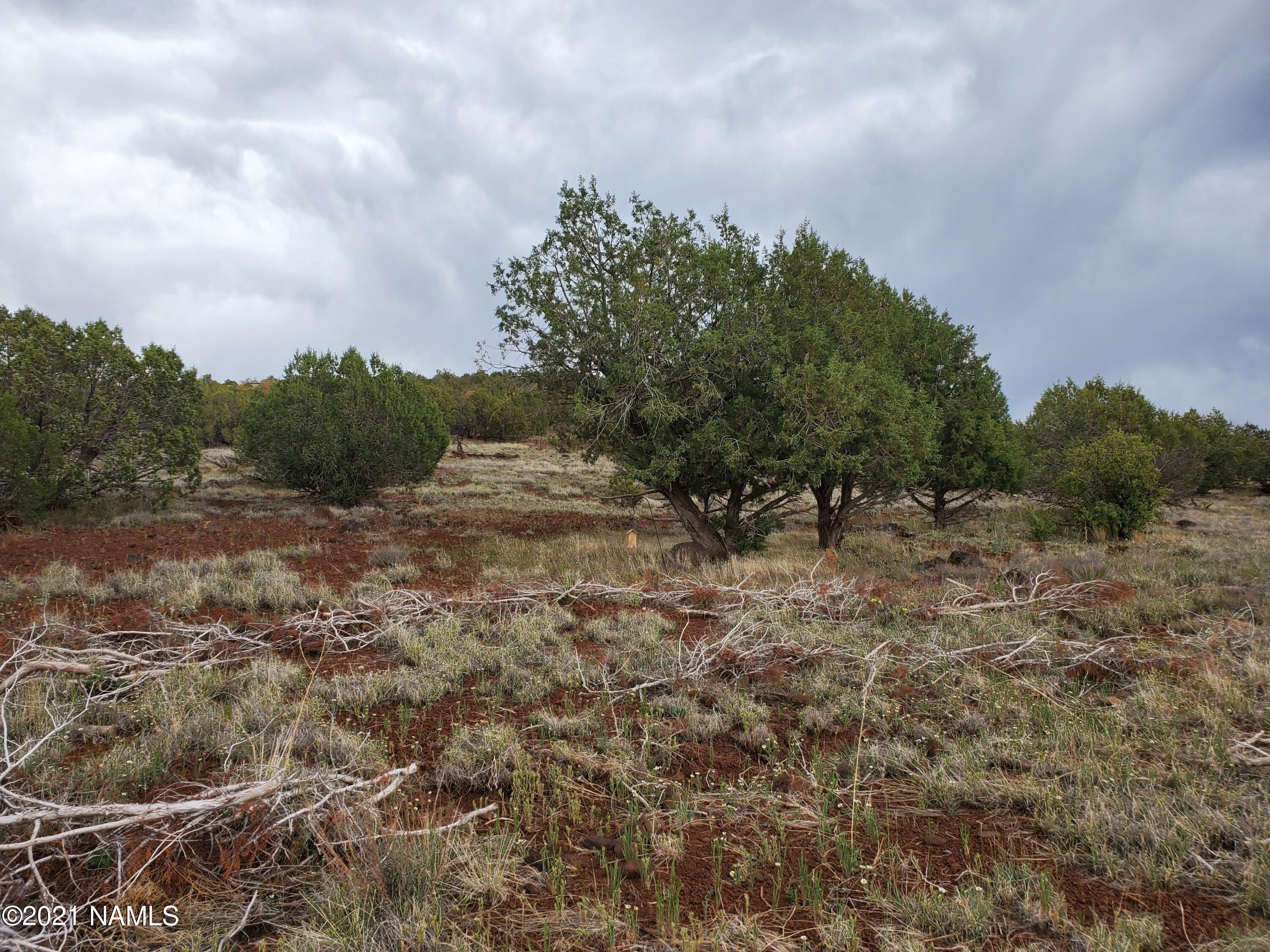 1769 Rincon Drive Williams, AZ 86046 - Photo 10 of 28 20210517_151400