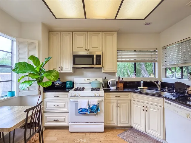 a kitchen with stainless steel appliances a stove a sink a potted plant and a window