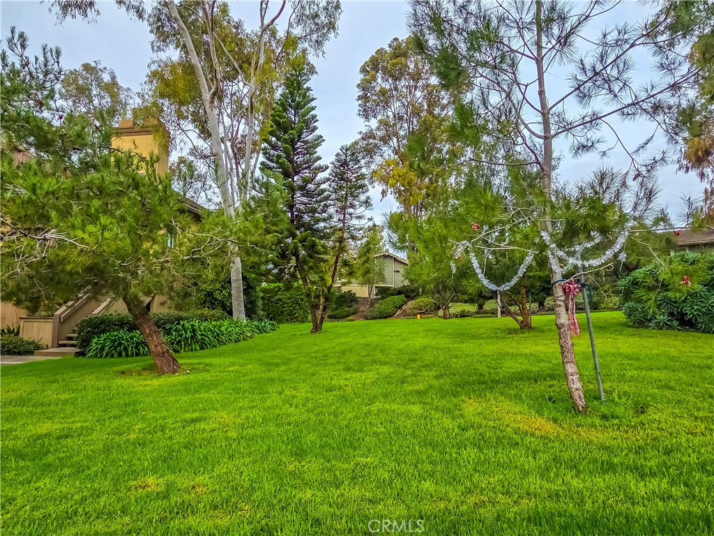 59 Rainbow Ridge Irvine, CA 92603 - Photo 24 of 35 a view of a park with large trees