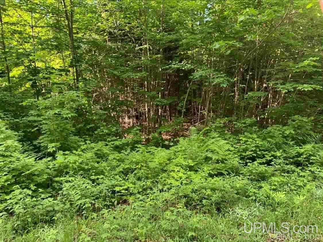 Tbd Moon Shadow Ridge Negaunee, MI 49866 - Photo 7 of 10 Gallery Image 7