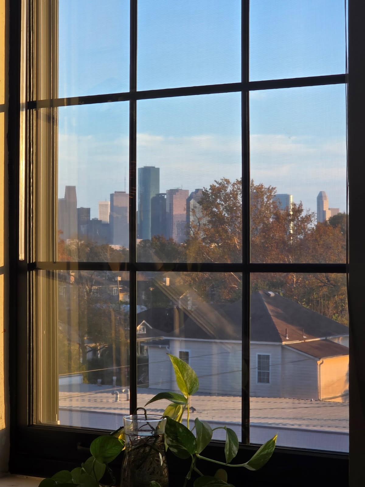 1100 Harvard Street, Unit 15 Houston, TX 77008 - Photo 22 of 23