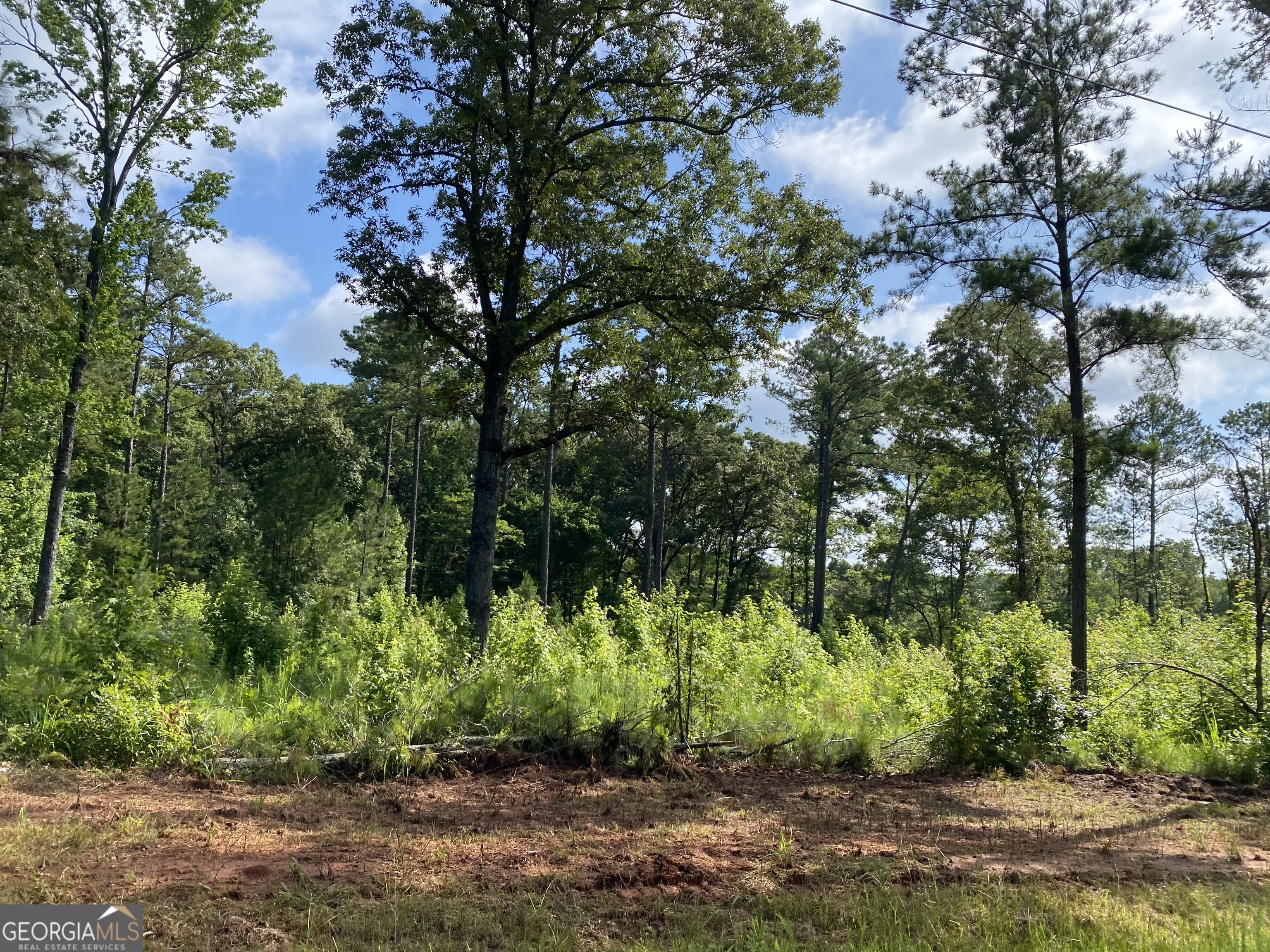 a view of backyard with green space