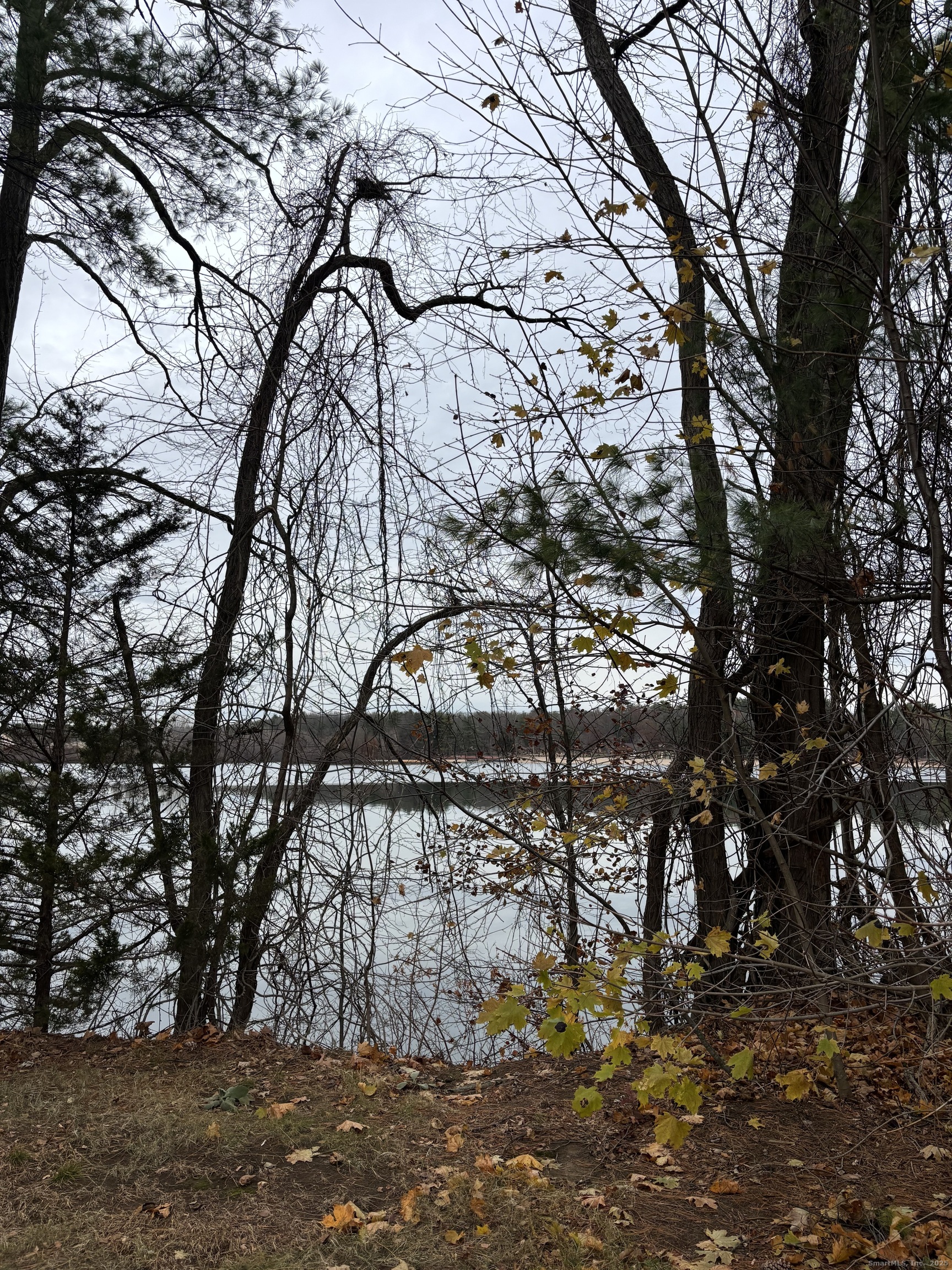 49 Grandview Drive, Unit A Farmington, CT 06032 - Photo 15 of 18 a view of a yard