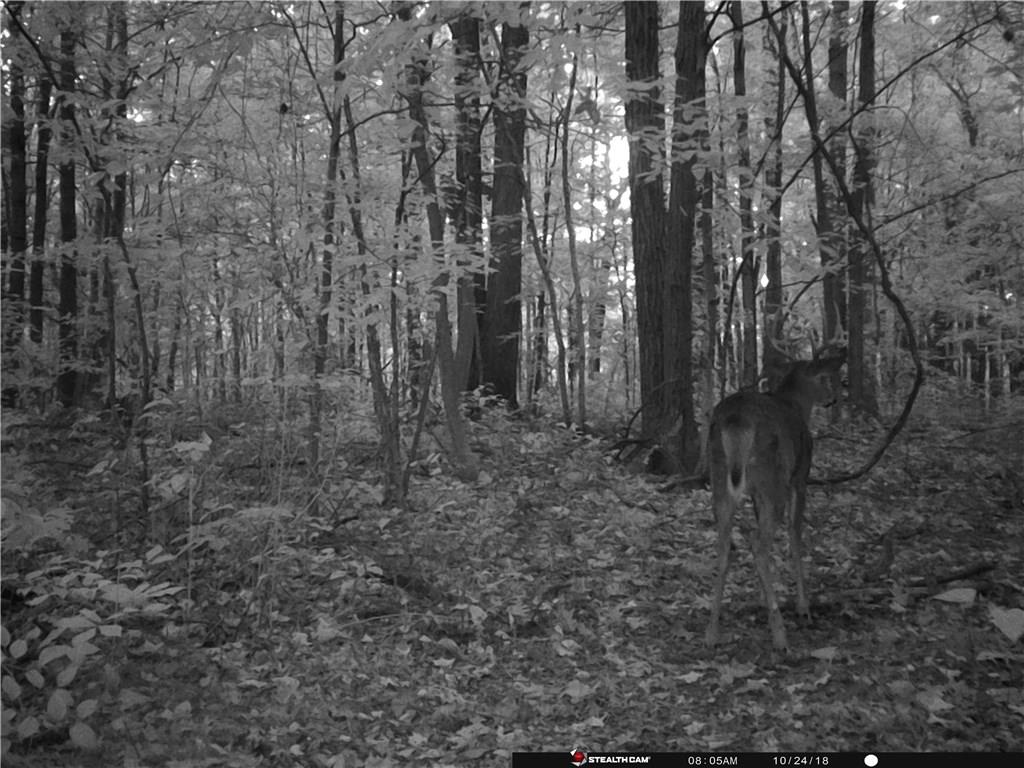 0 Ford Ridge Road Nashville, IN 46164 - Photo 27 of 39 Gallery Image 27