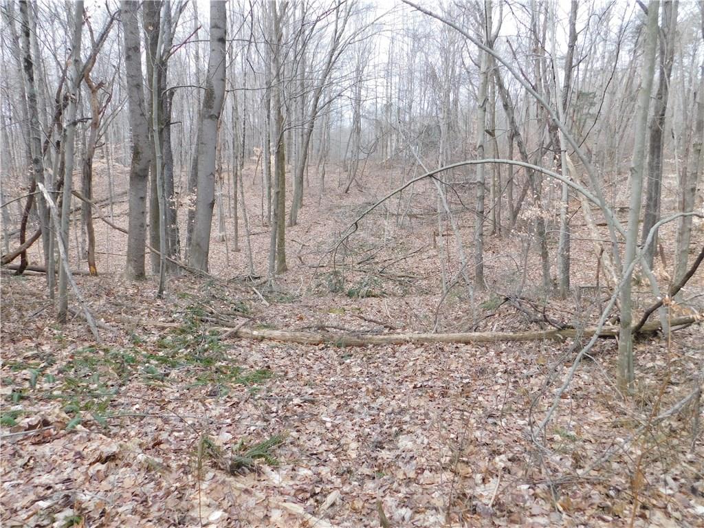 0 Ford Ridge Road Nashville, IN 46164 - Photo 8 of 39 Gallery Image 8