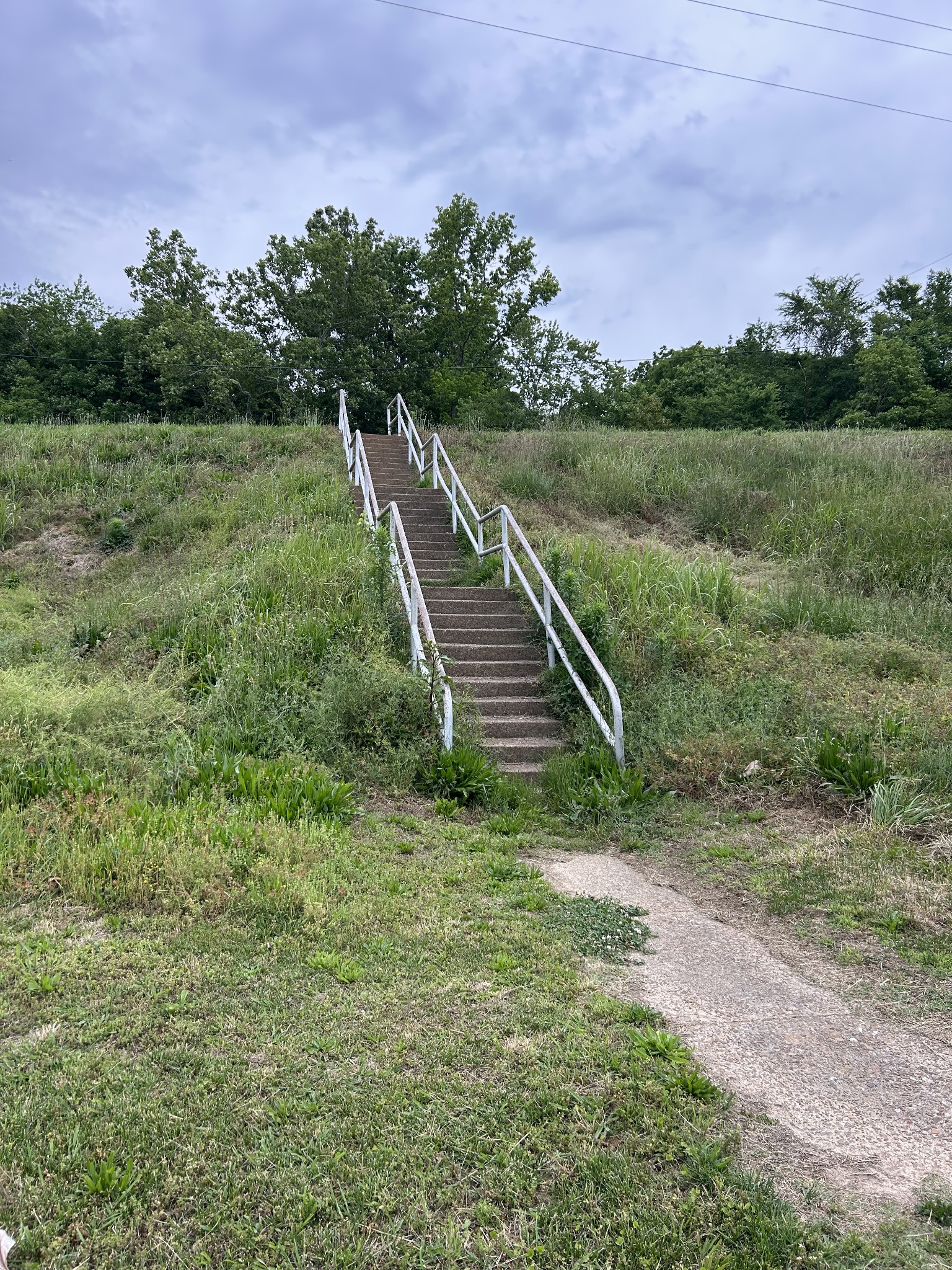 20 Ball Park Road Big Sandy, TN 38221 - Photo 11 of 33 a view of a lush green outdoor space