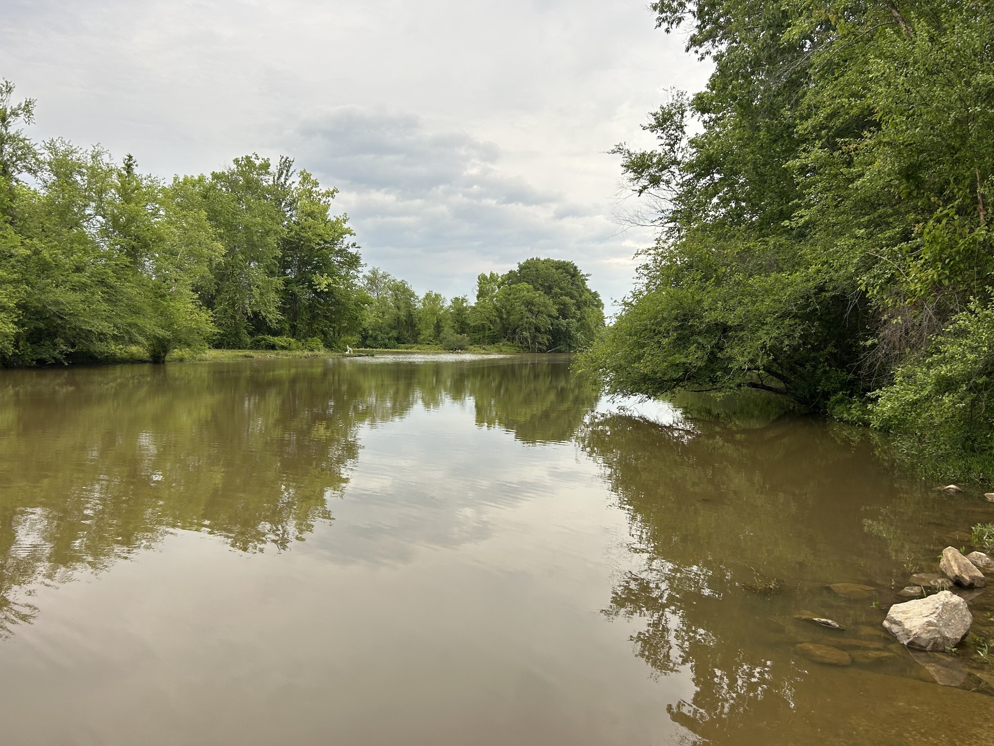 20 Ball Park Road Big Sandy, TN 38221 - Photo 32 of 33 a view of a lake view