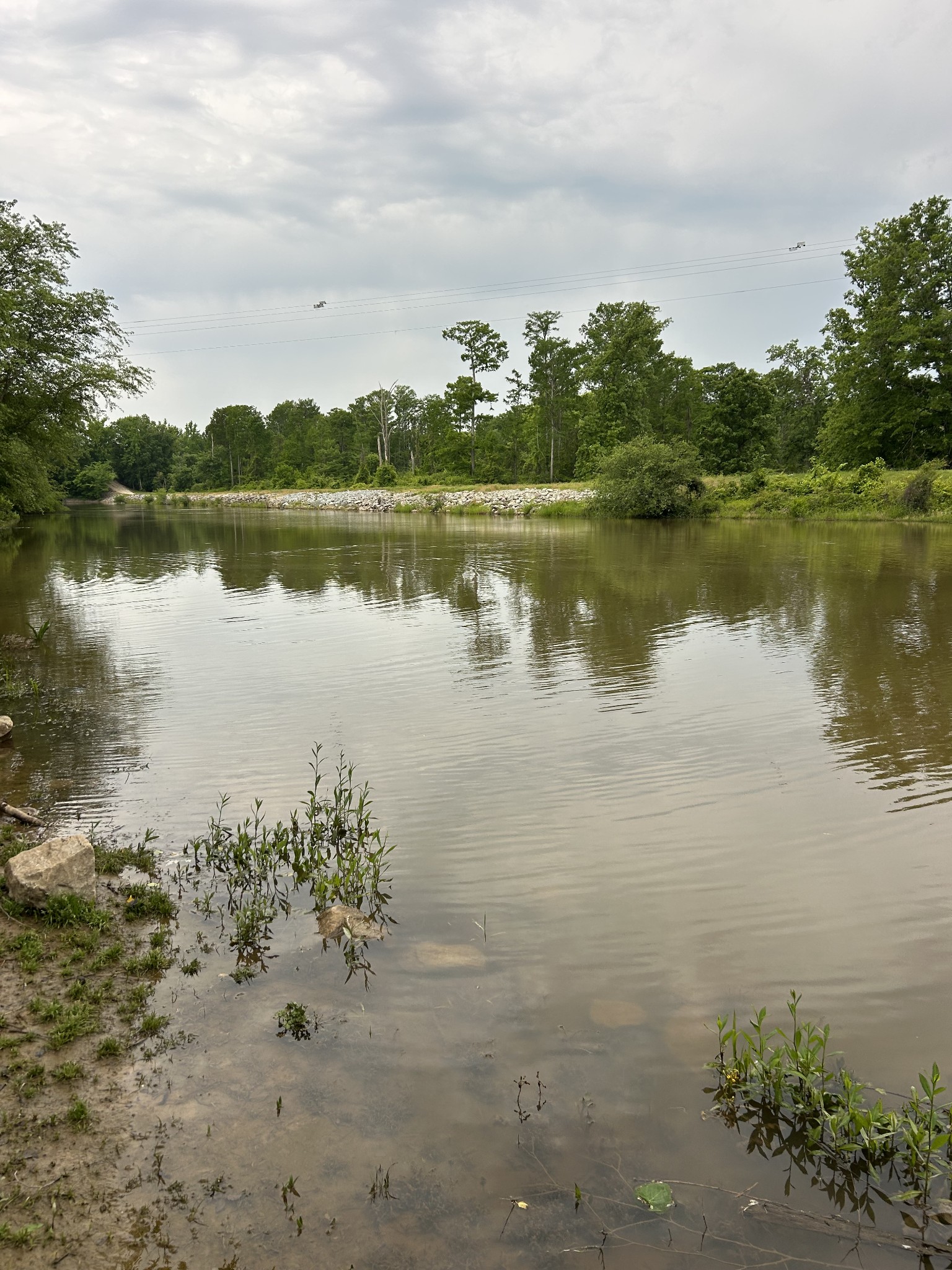 20 Ball Park Road Big Sandy, TN 38221 - Photo 33 of 33 a view of a lake with houses in the back