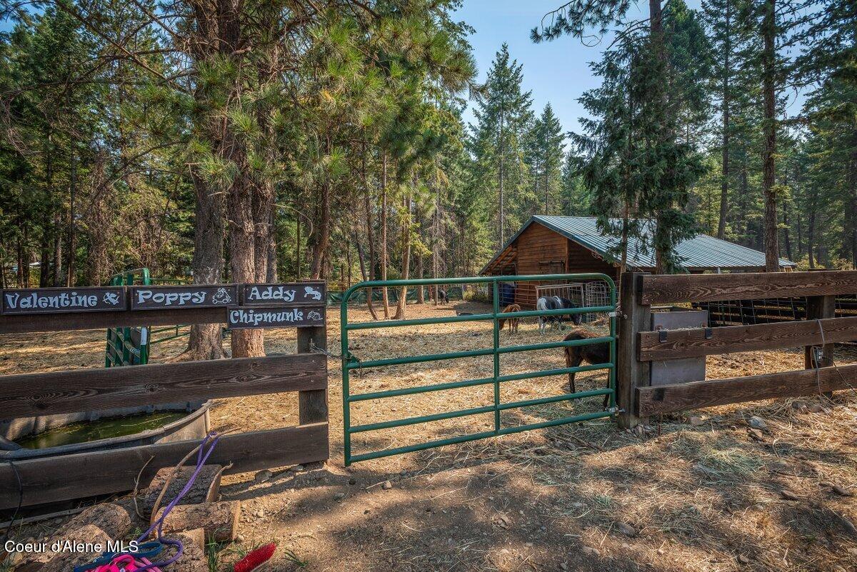 26864 North Timber Ridge Road Rathdrum, ID 83858 - Photo 4 of 12 --61.jpg-SMALL