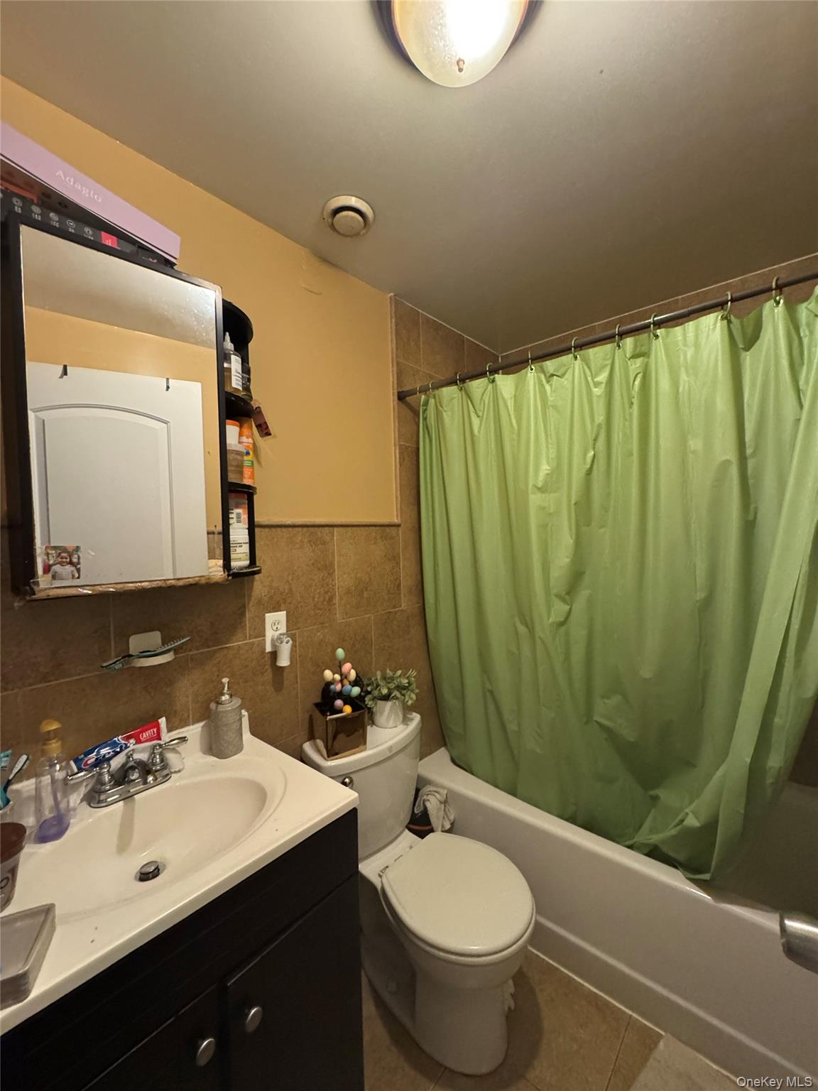 101-20 39th Avenue Queens, NY 11368 - Photo 11 of 17 a bathroom with a sink toilet and mirror