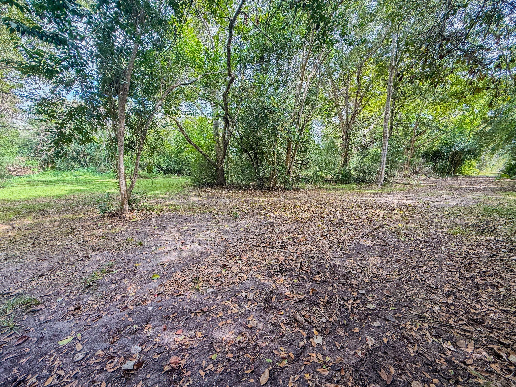 3504 FM 522 Road Brazoria, TX 77422 - Photo 33 of 40 a view of a yard with a tree