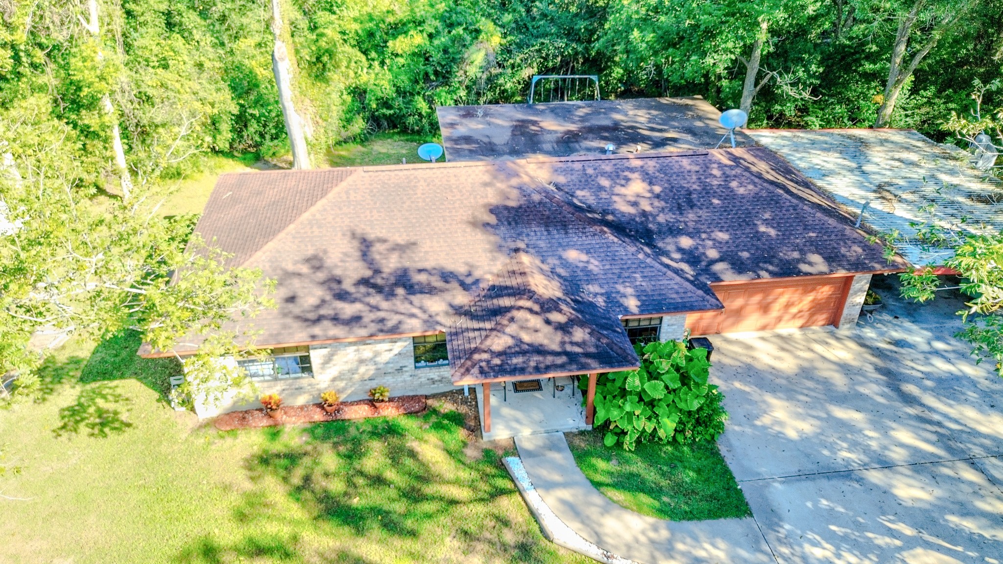 3504 FM 522 Road Brazoria, TX 77422 - Photo 39 of 40 a view of a yard with plants and large trees