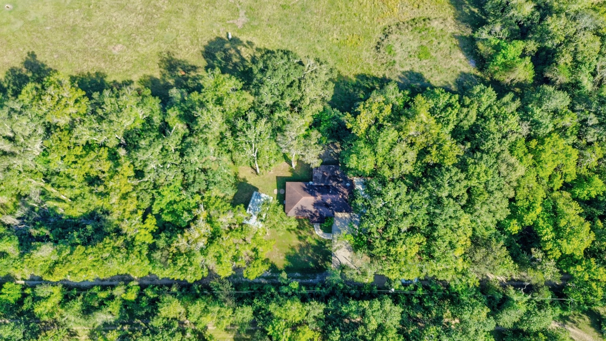 3504 FM 522 Road Brazoria, TX 77422 - Photo 40 of 40 a view of a lush green forest