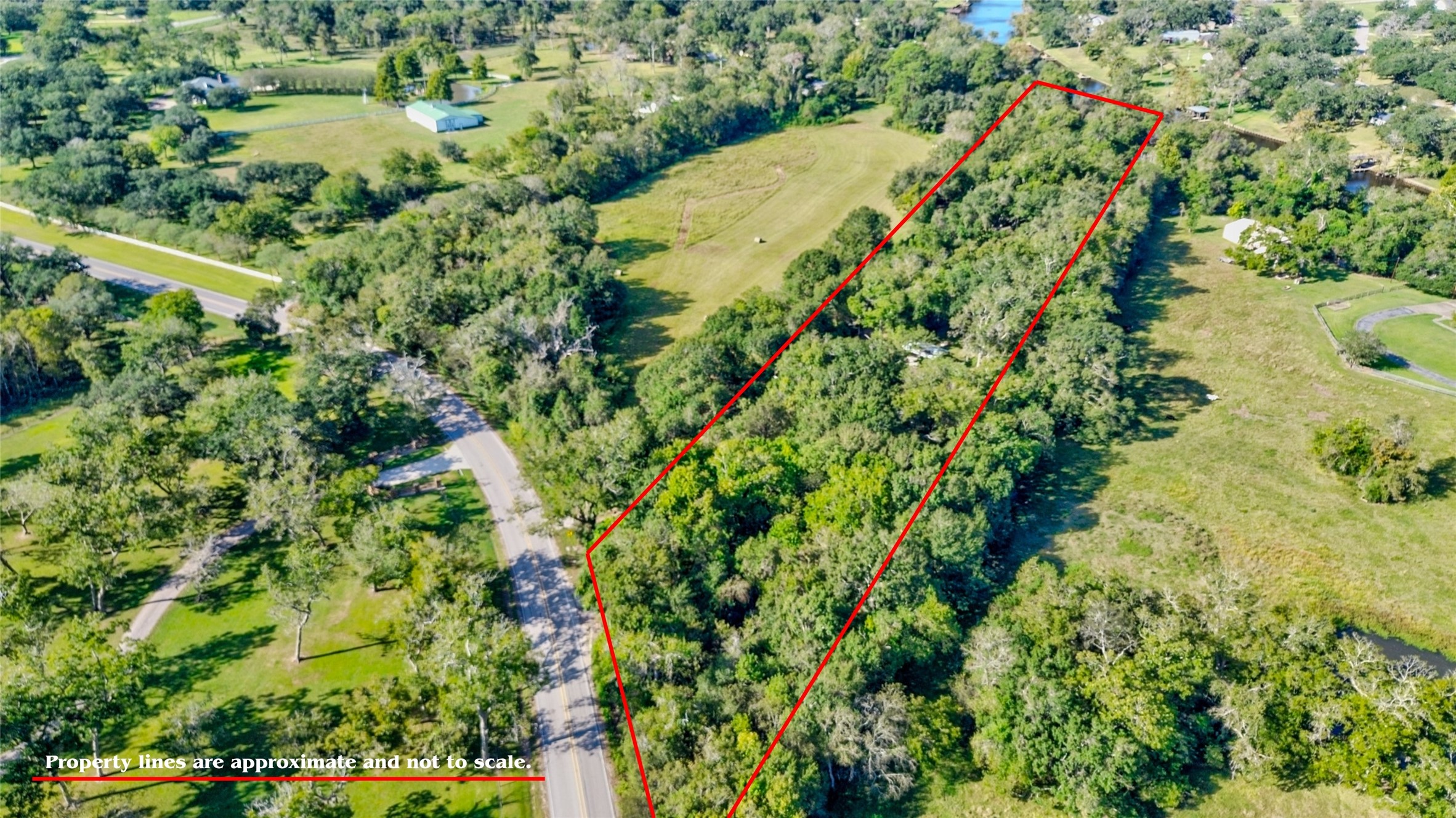 3504 FM 522 Road Brazoria, TX 77422 - Photo 5 of 40 a view of a garden with a tree