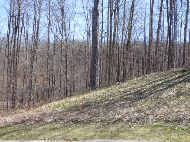 170 Raptor Run, Unit LOT: 170 Bellaire, MI 49615 - Photo 27 of 29