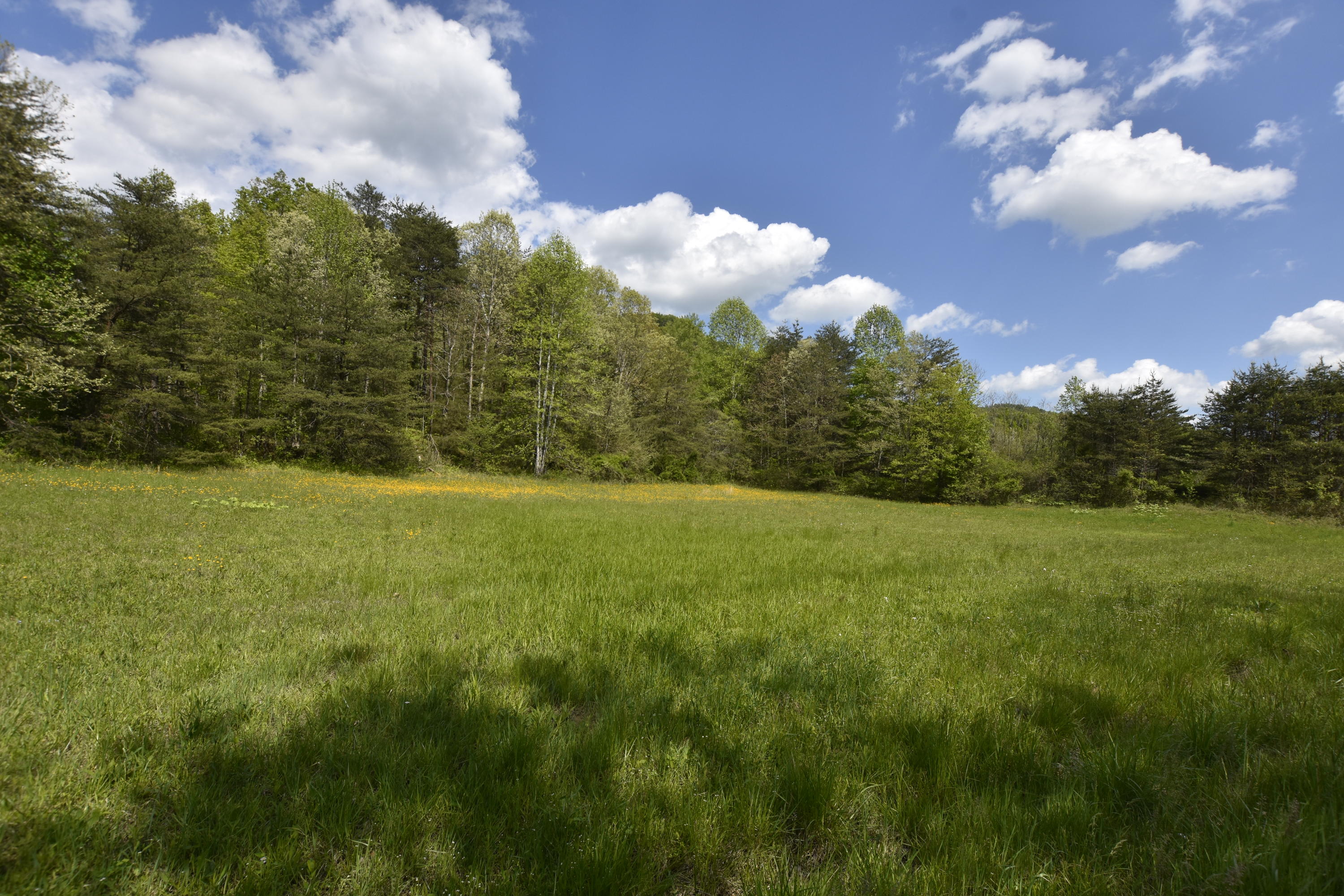 2771 Little Rock Road Irvine, KY 40336 - Photo 15 of 35 Hay fields!