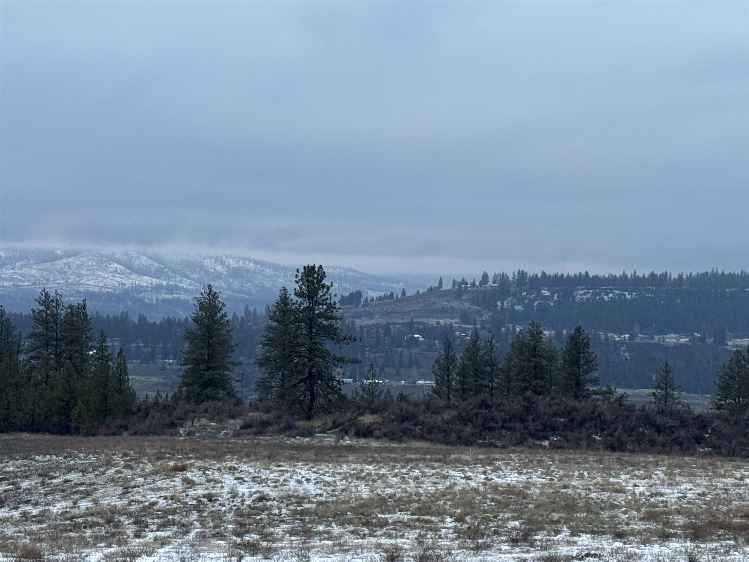 31625 Hume Road Davenport, WA 99122 - Photo 13 of 16