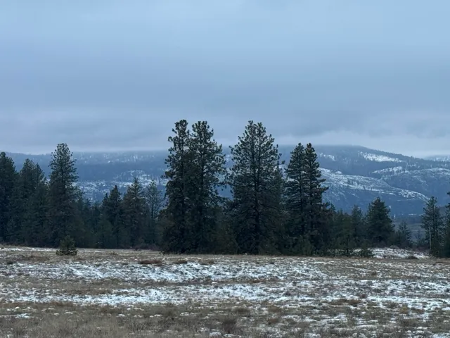 $199,000 | 31625 Hume Road, Davenport, WA 99122