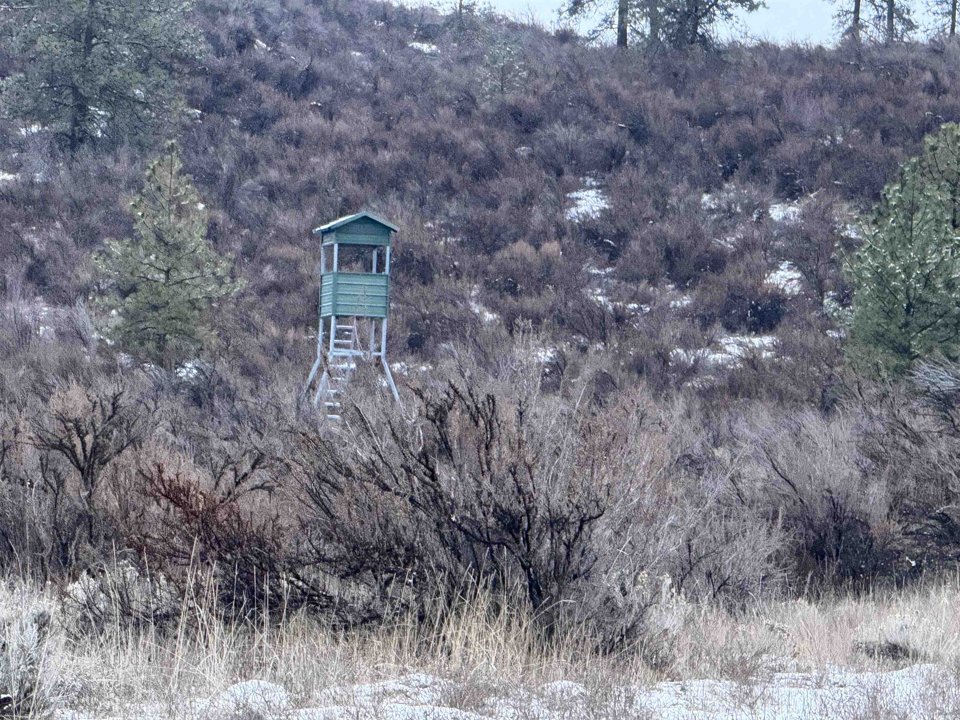 31625 Hume Road Davenport, WA 99122 - Photo 16 of 16