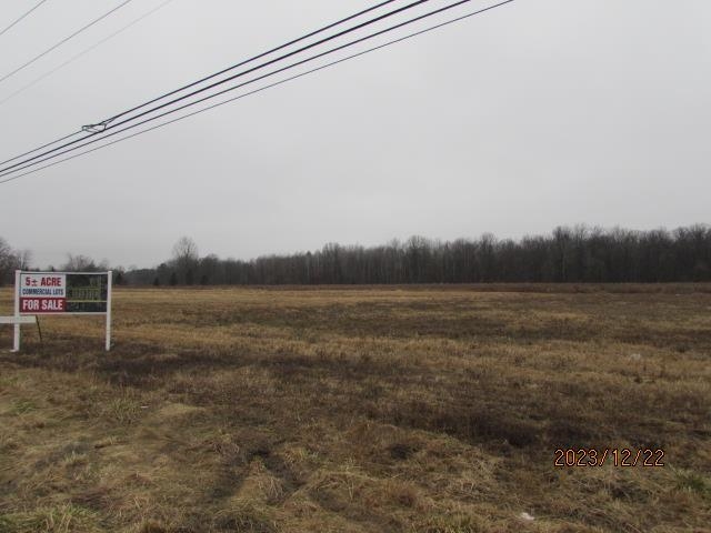 Tbd East Pickard Road, Unit LOT #3 Mount Pleasant, MI 48858 - Photo 4 of 6