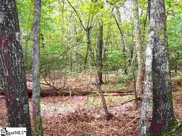 Curts Way, Unit TRACT 34 Cleveland, SC 29635 - Photo 1 of 10