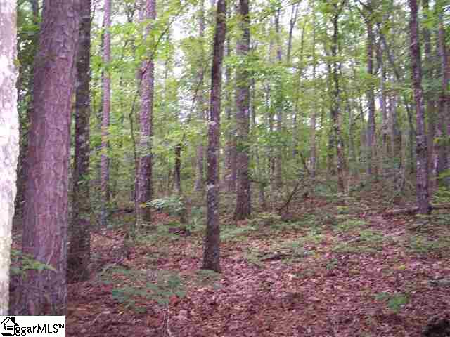 Curts Way, Unit TRACT 34 Cleveland, SC 29635 - Photo 7 of 10