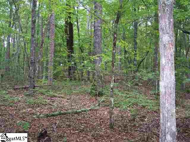 Curts Way, Unit TRACT 34 Cleveland, SC 29635 - Photo 9 of 10