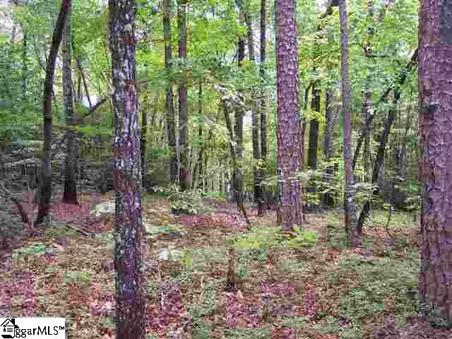 Curts Way, Unit TRACT 34 Cleveland, SC 29635 - Photo 10 of 10