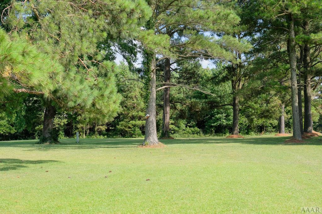 Lot 2 Ruby Lane Roper, NC 27970 - Photo 5 of 9