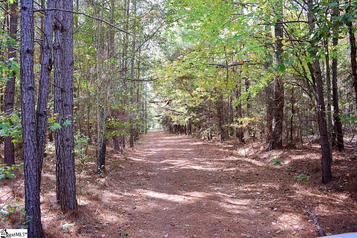 525 State Rd S-42-1256 Enoree, SC 29335 - Photo 27 of 36