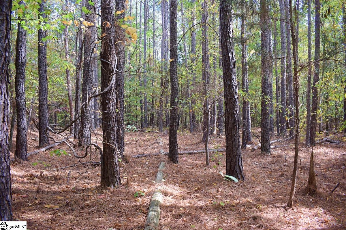525 State Rd S-42-1256 Enoree, SC 29335 - Photo 28 of 36