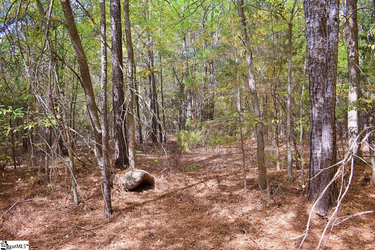 525 State Rd S-42-1256 Enoree, SC 29335 - Photo 29 of 36