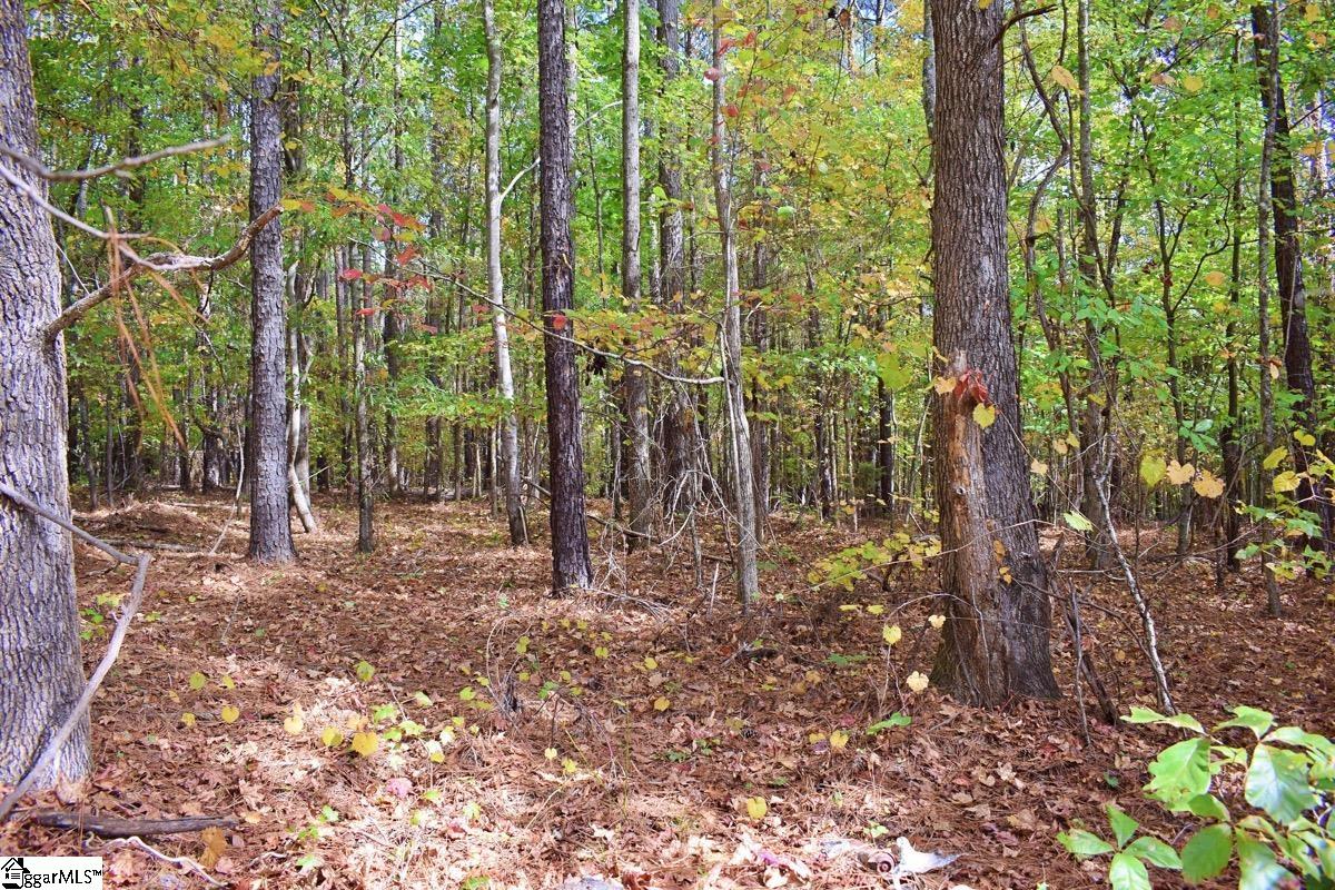 525 State Rd S-42-1256 Enoree, SC 29335 - Photo 30 of 36