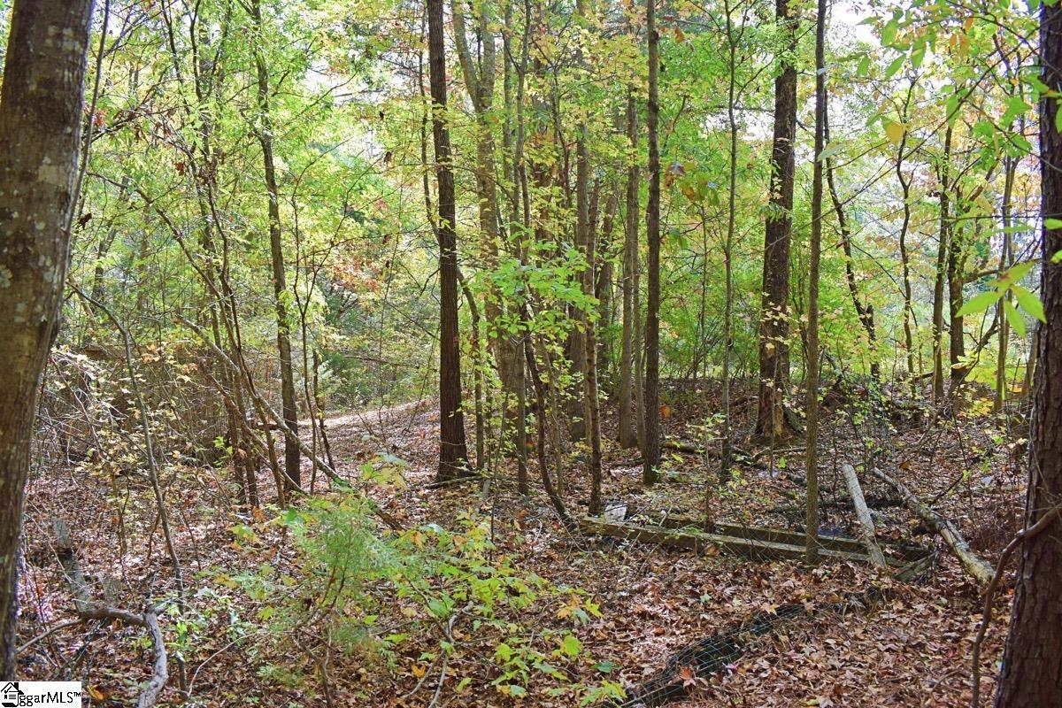 525 State Rd S-42-1256 Enoree, SC 29335 - Photo 35 of 36