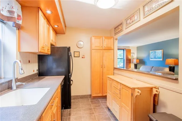a kitchen with stainless steel appliances granite countertop a sink and a refrigerator